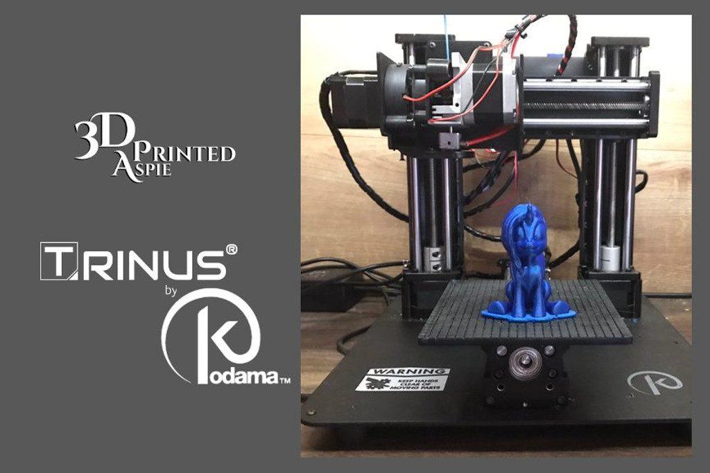 Kodama Trinus 3D Printer Review by 3D Printed Aspie