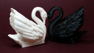 Black and White Swans