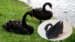 Odile The Swan designed loubie resembles black swans at Leeds castle in Kent UK