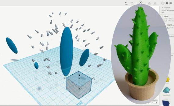 3D Design Software for 3D Printing - Cactus in a Pot