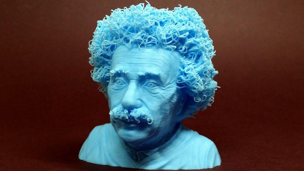 Hairy 3D Prints - Albert Einstein