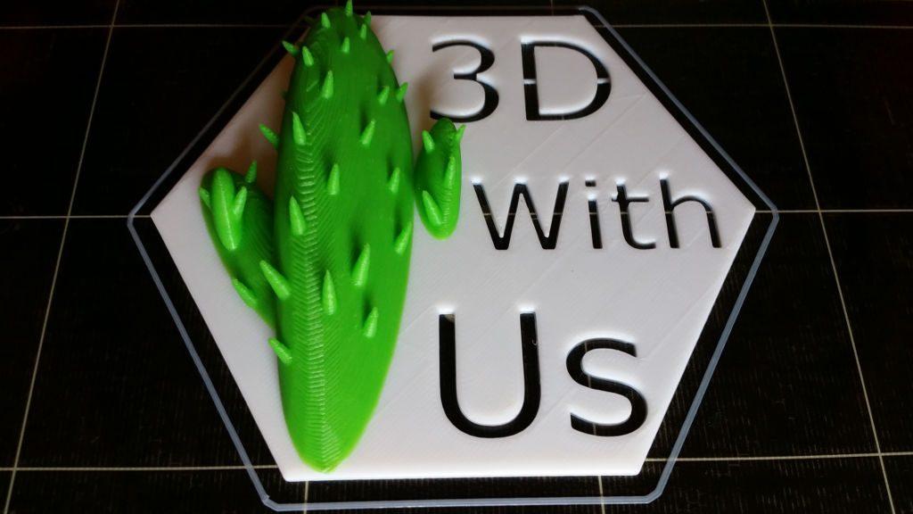 3D Printed Hexagon - 无码区a∨视频 Letters - Cactus
