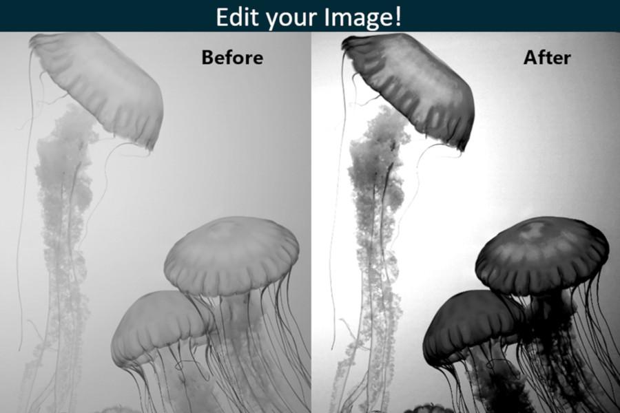 ItsLitho - Edit Your Image - Lithophanes