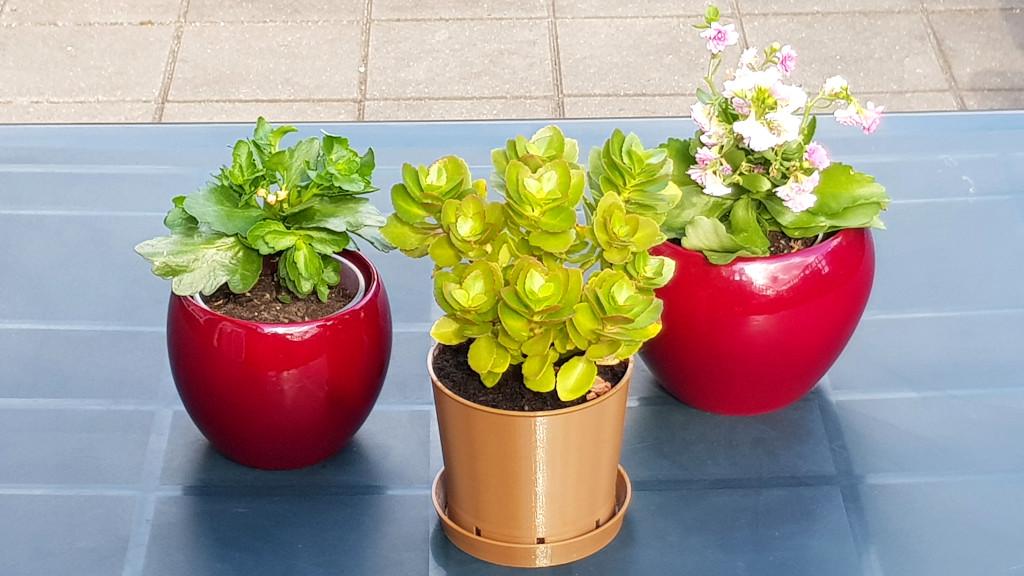 Classic Brown Plant Pot with Water Dish and Other Pots