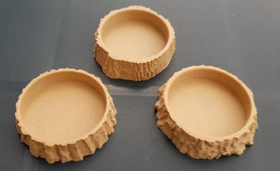 3D Scanned Tree Texture - Oak, Birch, and Pine Plant Coasters
