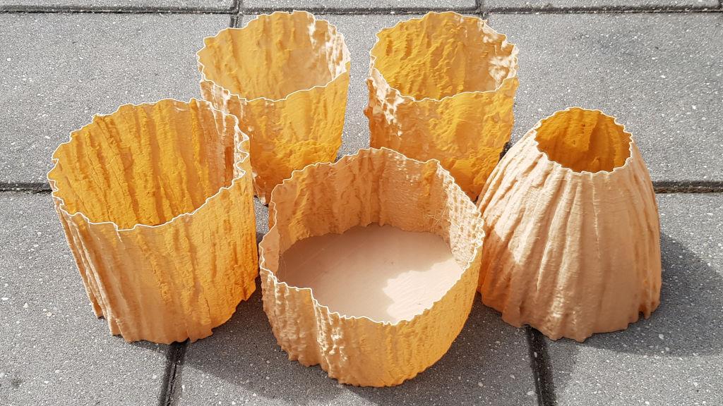 Vase Mode 3D Printing - 3D Scanned Tree Vases - Oak, Birch, and Pine Textures