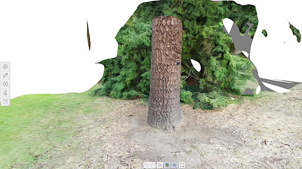 3D Scan in Autodesk ReCap Photo