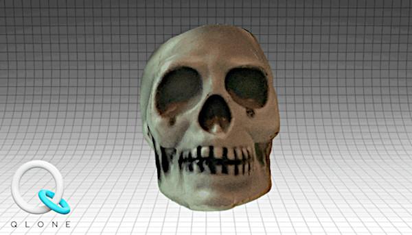 3D Scanned Skull in Qlone - iOS and Android 3D Photo App