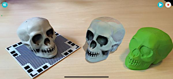 Original, AR and 3D Printed Skulls - Qlone 3D Scanner App
