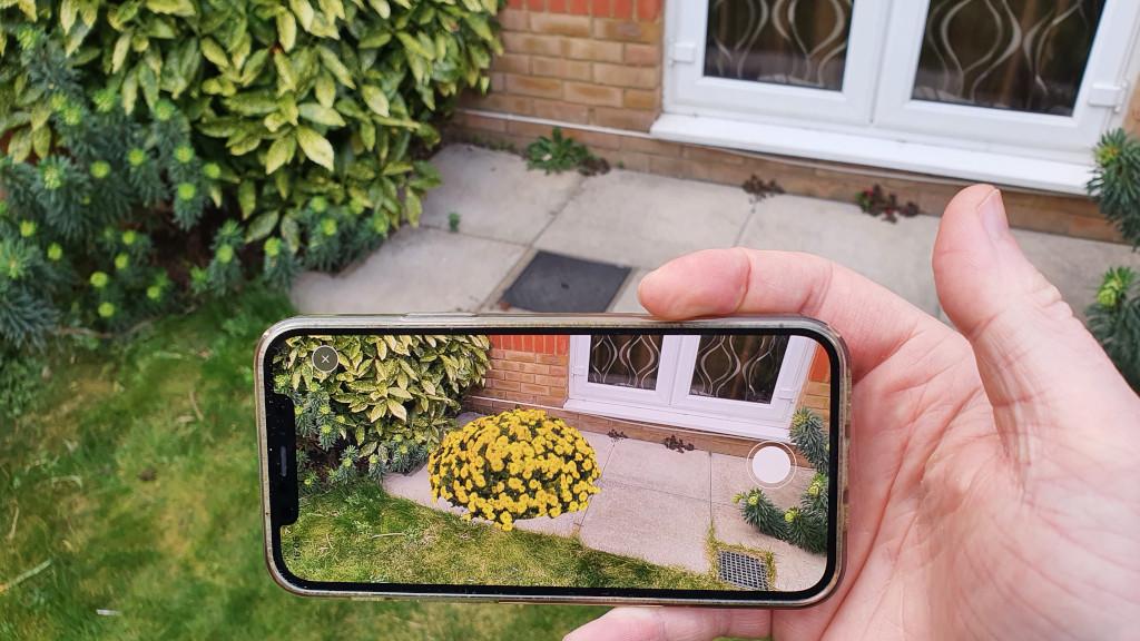 3D Scanned Flower Bed in AR Mode