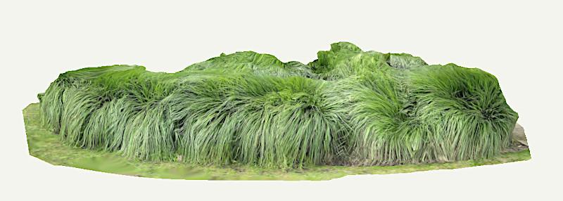 Failed 3D Scan - Thin Grass Plus Windy Weather