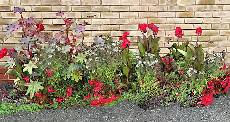 Flowerbed 3D scan by Jacek Jaskolski