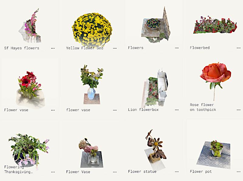 Flowers and flower bed collection