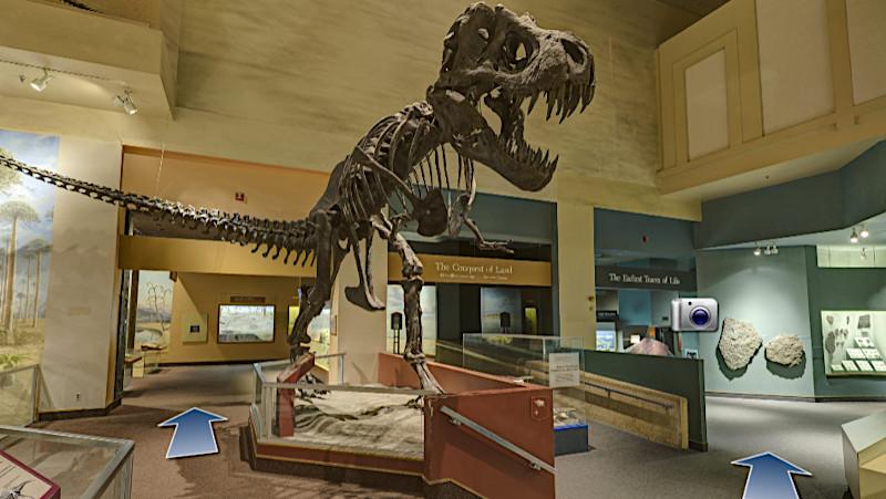 T-Rex Skeleton - Smithsonian Museum Virtual Tour