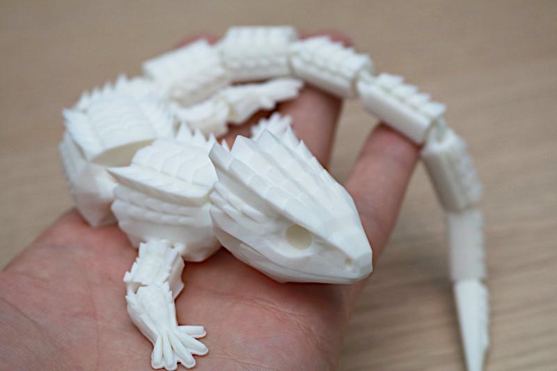 3D Printed Red-Eyed Skink Model