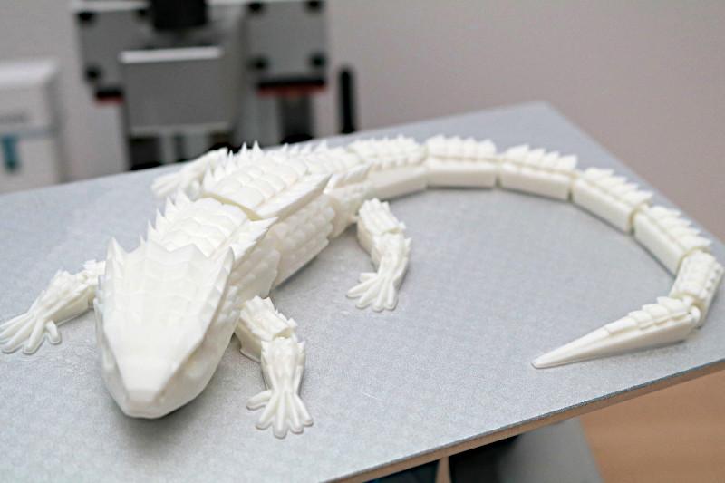 Red-Eyed Skink 3D Print