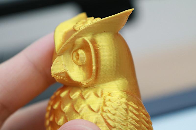 Owl Test Print
