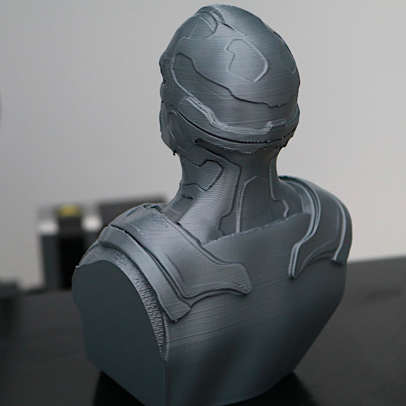 Vision bust - back view
