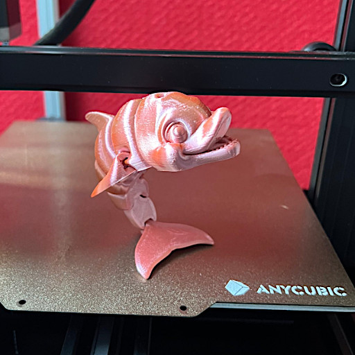 Flexi Dolphin Test Print