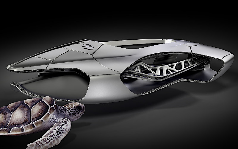 Concept Car and Turtle