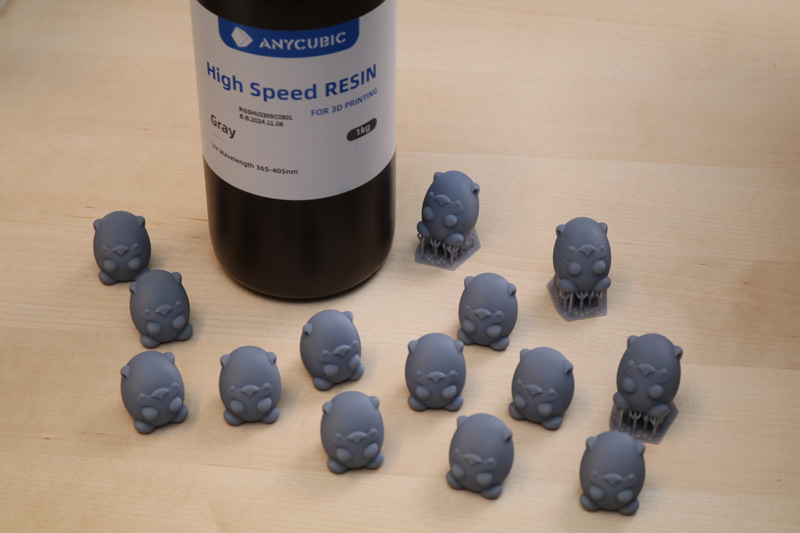 Prints and Bottle of Resin