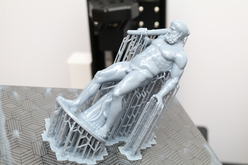 Printed model with supports attached
