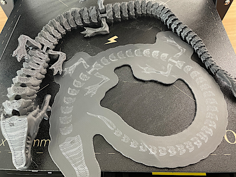 Articulated Dragon on the Back and Raft
