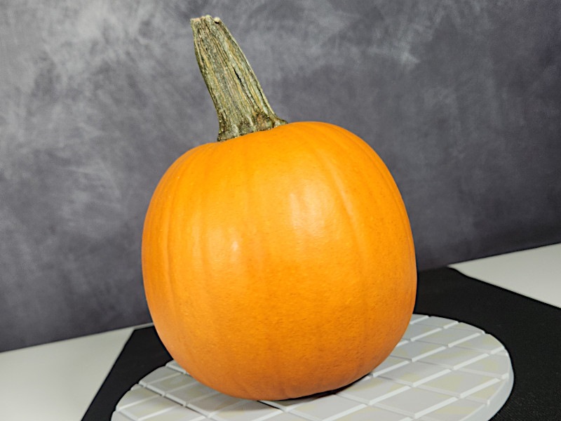 Pumpkin on Turn Table