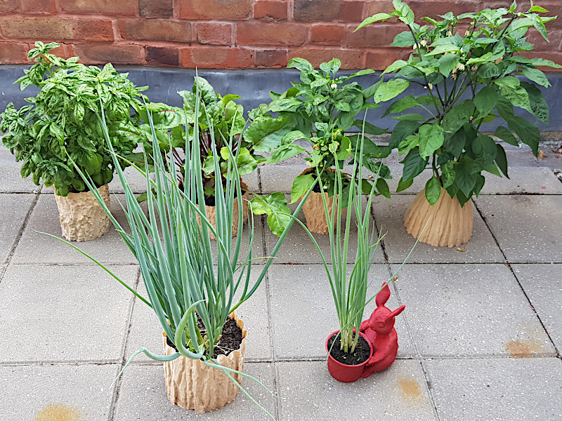 Planters