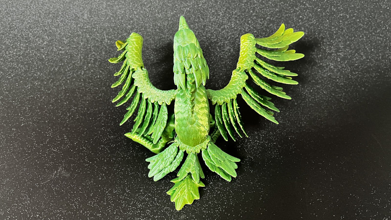 Flexi Phoenix