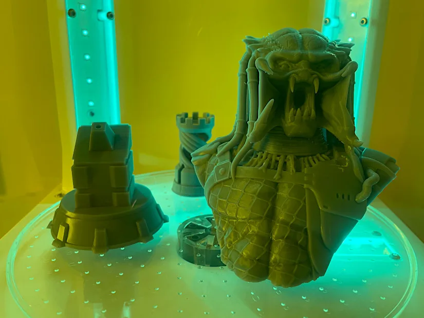 Predator Bust in the Curing Station