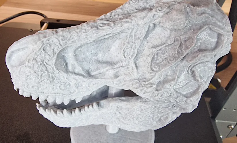 Carved T-Rex Skull - Side View