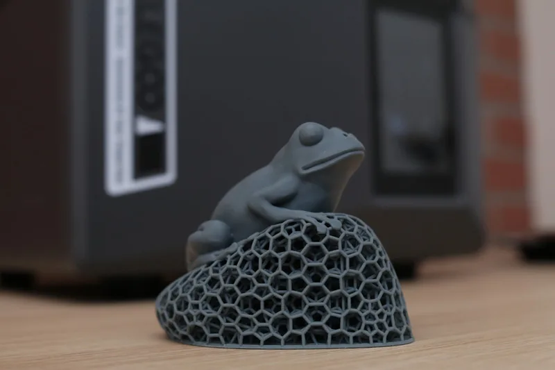 Voronoi Lattice Frog