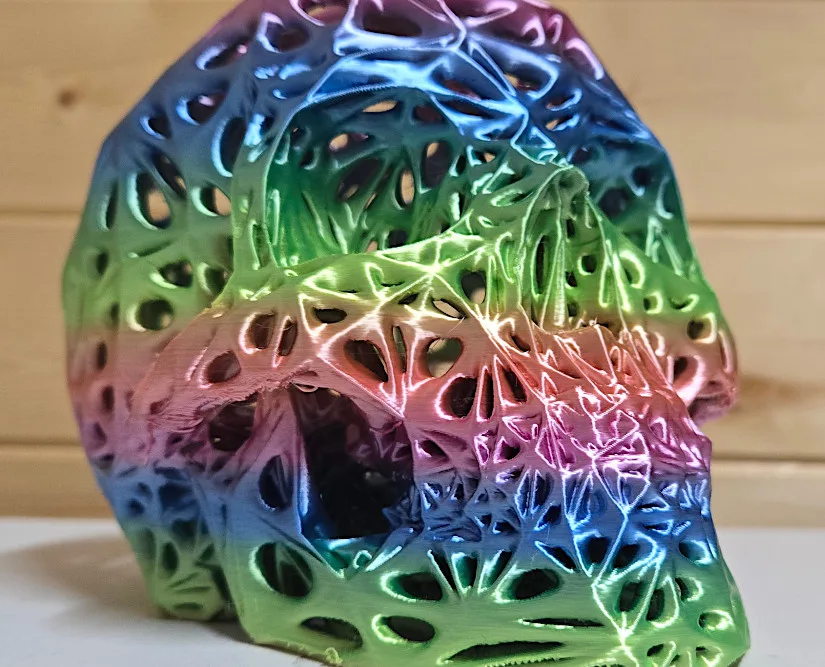 Voronoi Skull - Close Look