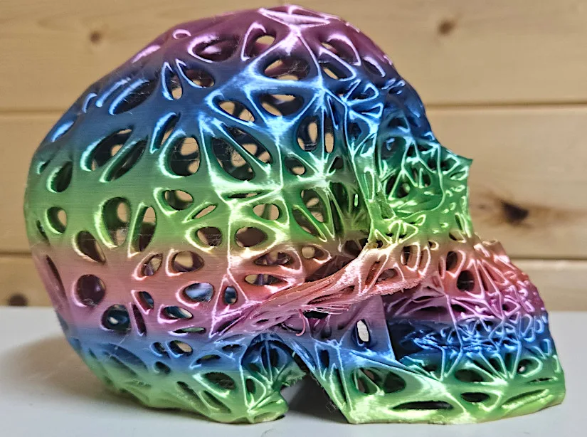 Voronoi Skull Test Print