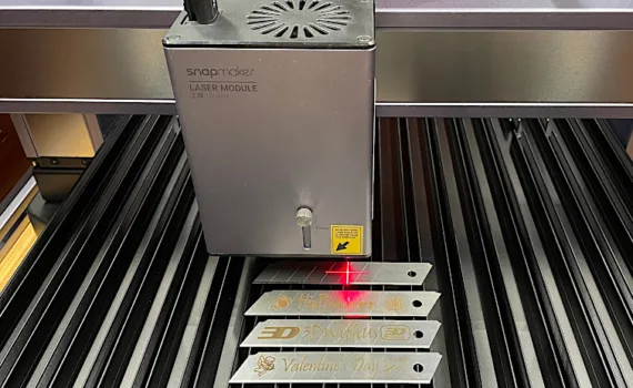 Snapmaker 2W IR Laser Module and Engraving