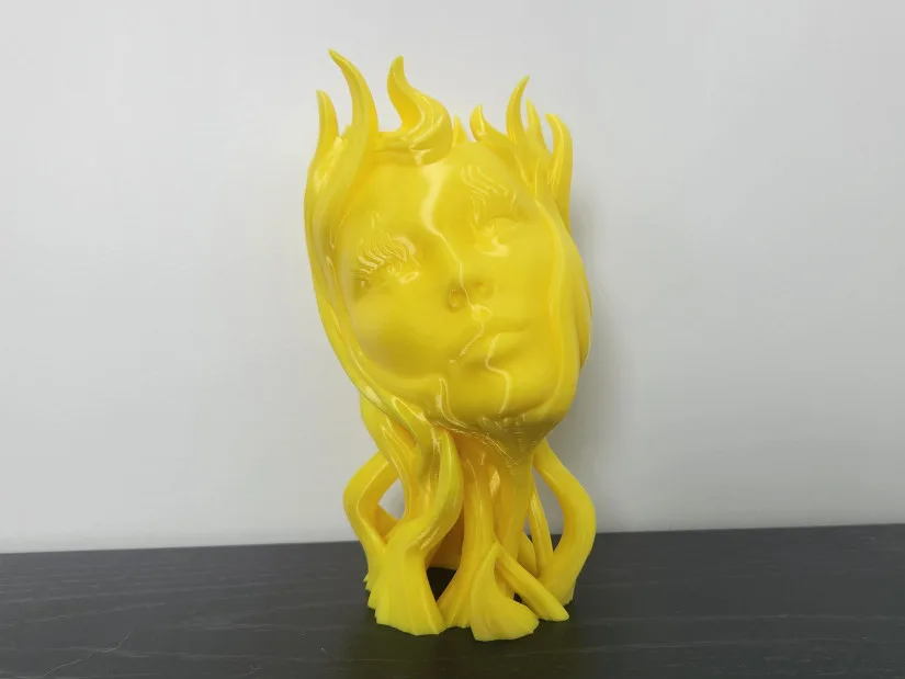 Fluidia Test Print