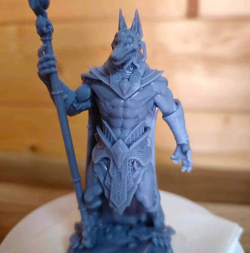 Jackal model - close look