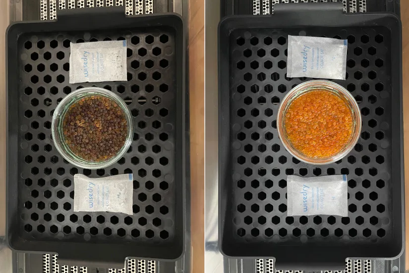 Wet and Dried Desiccant Dehumidifier