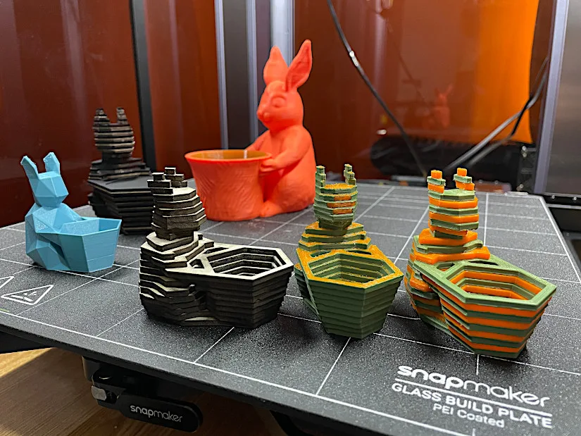 Bunnies in Different Forms