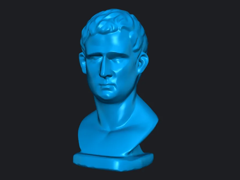 Scanned Bust Model